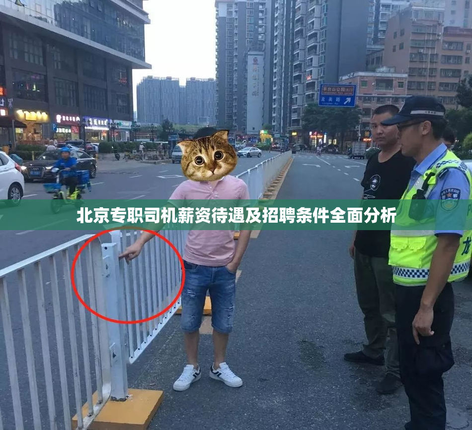 北京专职司机薪资待遇及招聘条件全面分析