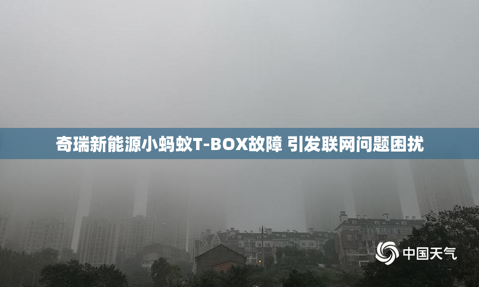 奇瑞新能源小蚂蚁T-BOX故障 引发联网问题困扰