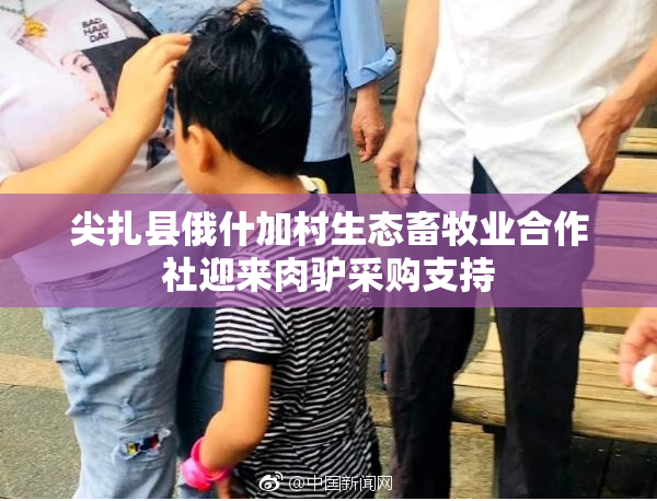 尖扎县俄什加村生态畜牧业合作社迎来肉驴采购支持