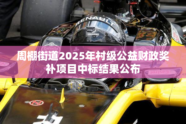 周棚街道2025年村级公益财政奖补项目中标结果公布