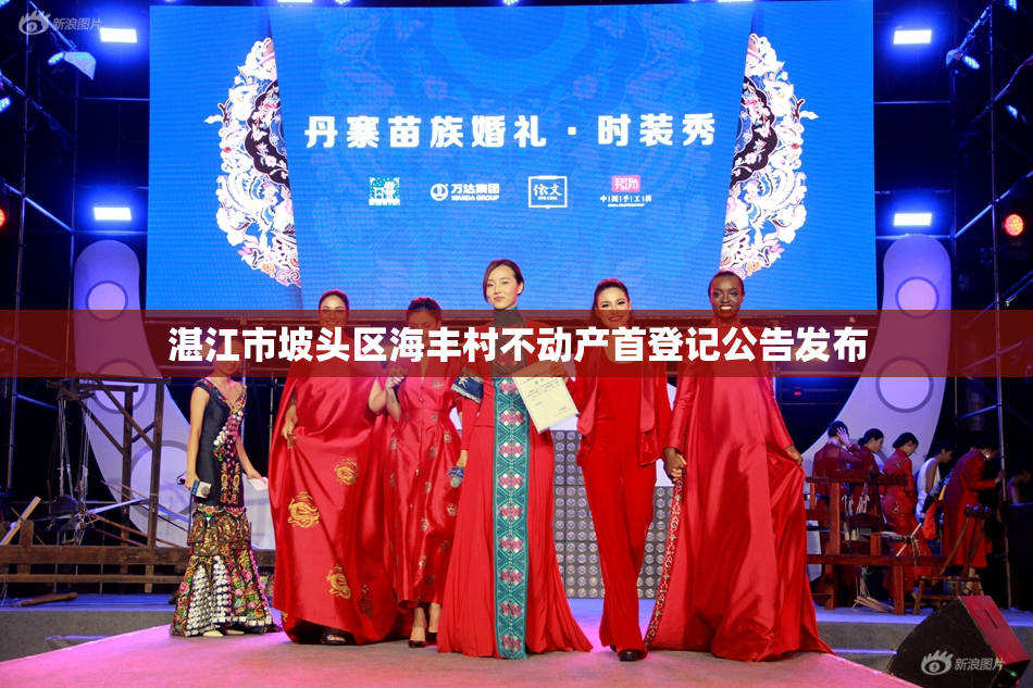 湛江市坡头区海丰村不动产首登记公告发布