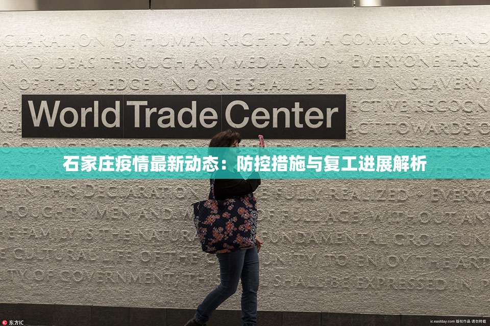 石家庄疫情最新动态：防控措施与复工进展解析