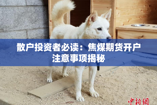 散户投资者必读：焦煤期货开户注意事项揭秘