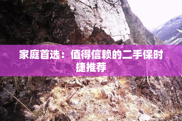 家庭首选：值得信赖的二手保时捷推荐