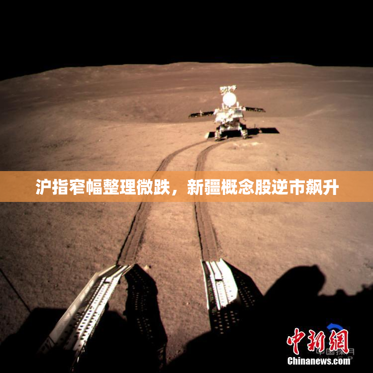 沪指窄幅整理微跌，新疆概念股逆市飙升