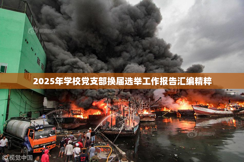 2025年学校党支部换届选举工作报告汇编精粹
