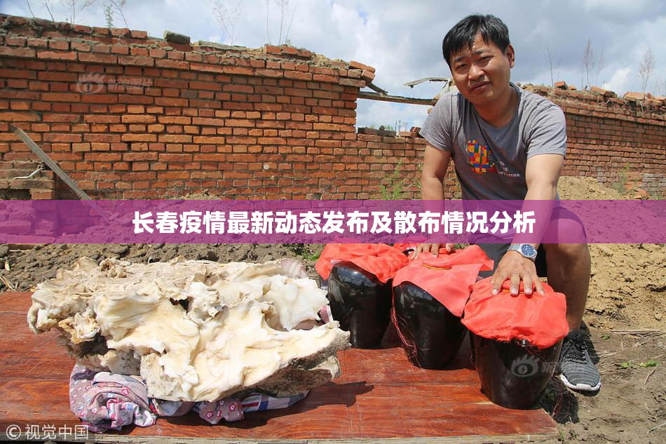 长春疫情最新动态发布及散布情况分析