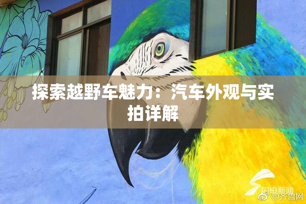 探索越野车魅力：汽车外观与实拍详解
