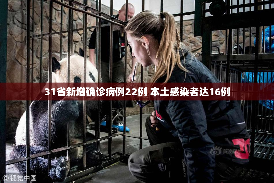 31省新增确诊病例22例 本土感染者达16例