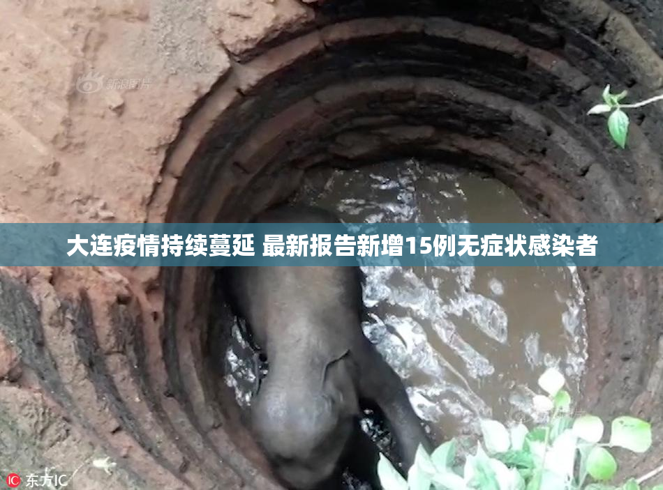 大连疫情持续蔓延 最新报告新增15例无症状感染者