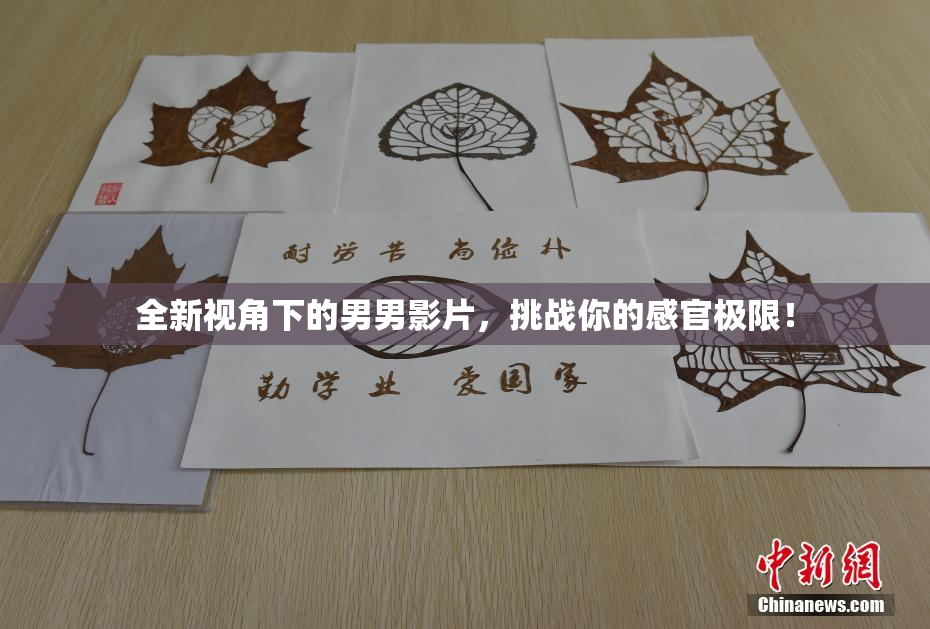 全新视角下的男男影片，挑战你的感官极限！