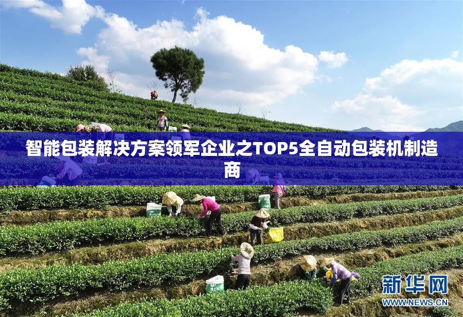 智能包装解决方案领军企业之TOP5全自动包装机制造商