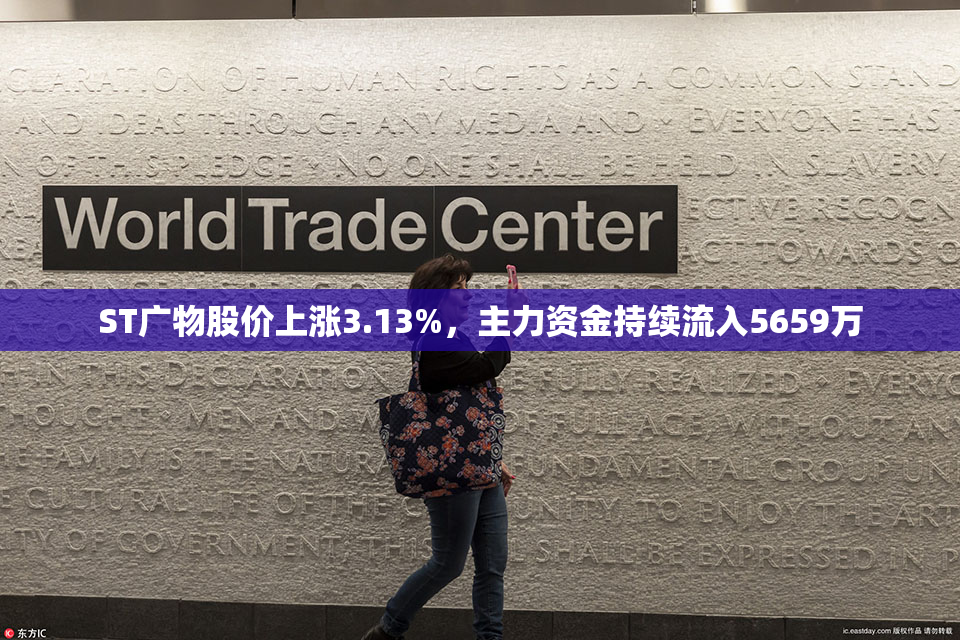 ST广物股价上涨3.13%，主力资金持续流入5659万