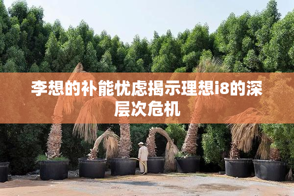 李想的补能忧虑揭示理想i8的深层次危机