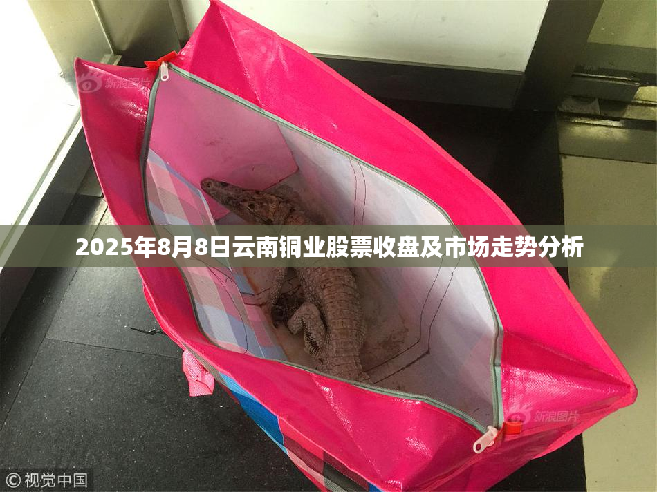 2025年8月8日云南铜业股票收盘及市场走势分析