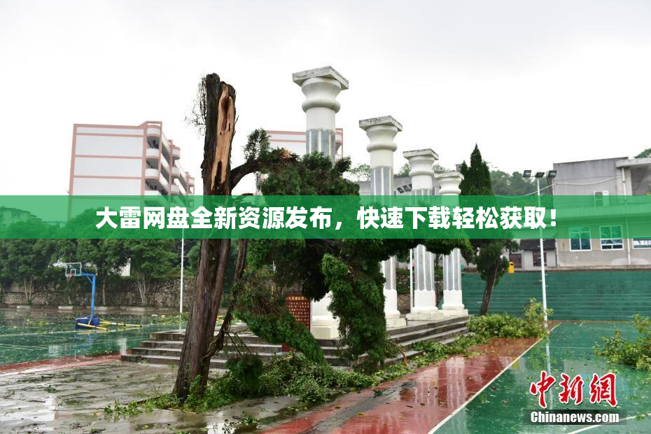 大雷网盘全新资源发布，快速下载轻松获取！