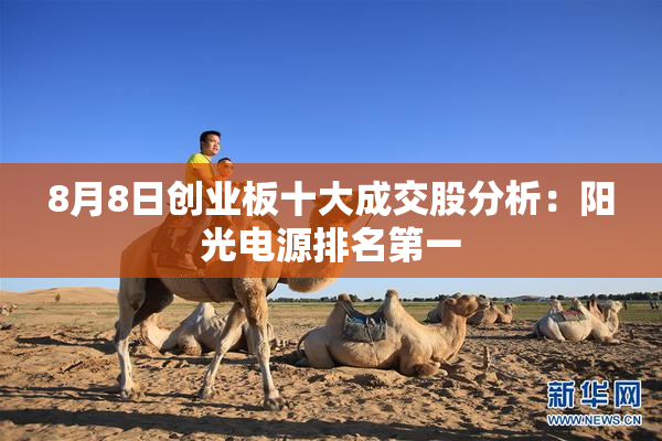 8月8日创业板十大成交股分析：阳光电源排名第一