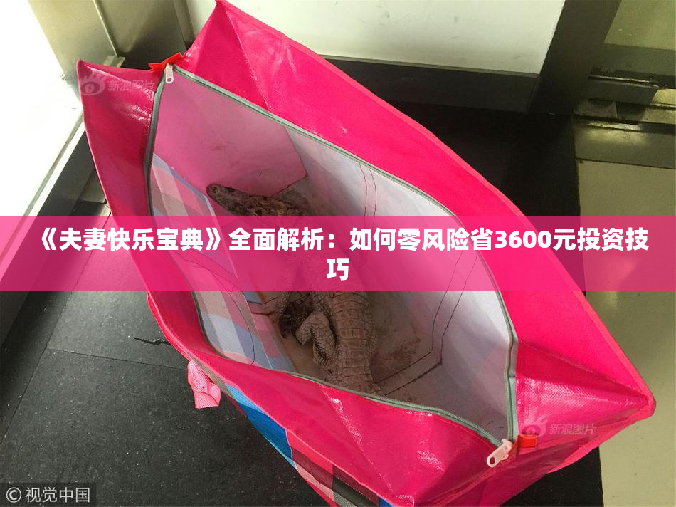 《夫妻快乐宝典》全面解析：如何零风险省3600元投资技巧