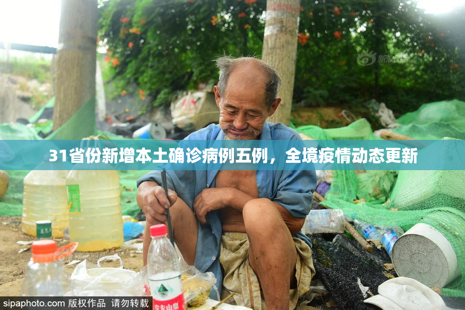 31省份新增本土确诊病例五例，全境疫情动态更新