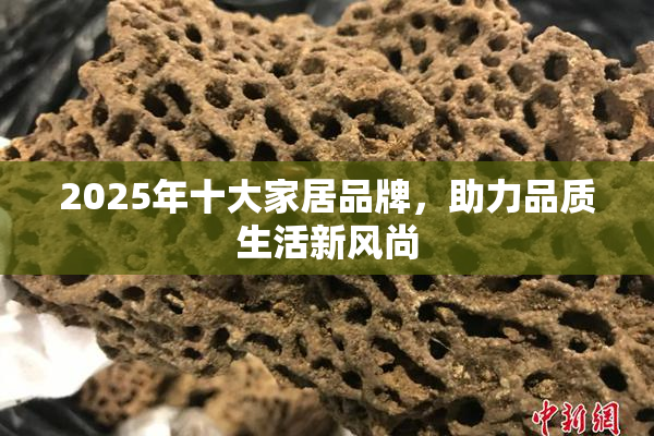 2025年十大家居品牌，助力品质生活新风尚