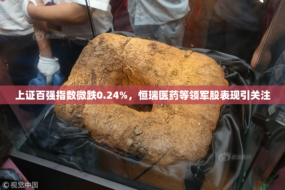 上证百强指数微跌0.24%，恒瑞医药等领军股表现引关注