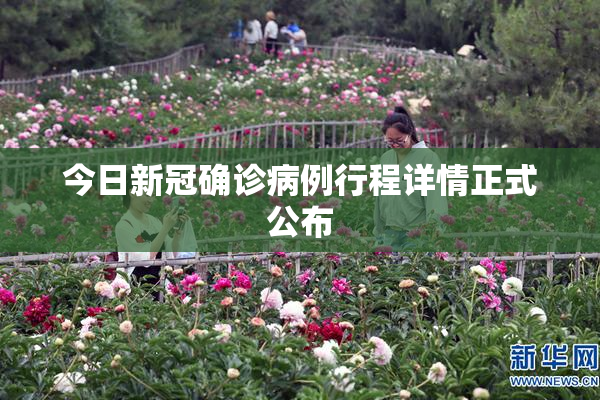 今日新冠确诊病例行程详情正式公布