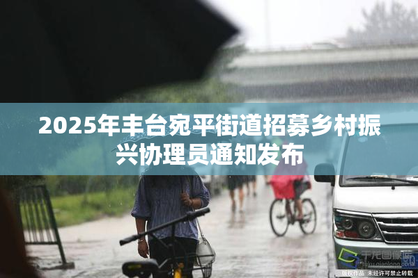 2025年丰台宛平街道招募乡村振兴协理员通知发布