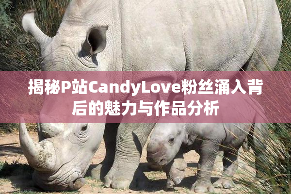 揭秘P站CandyLove粉丝涌入背后的魅力与作品分析