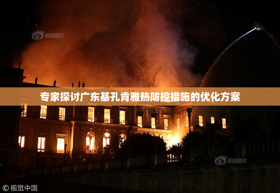 专家探讨广东基孔肯雅热防控措施的优化方案