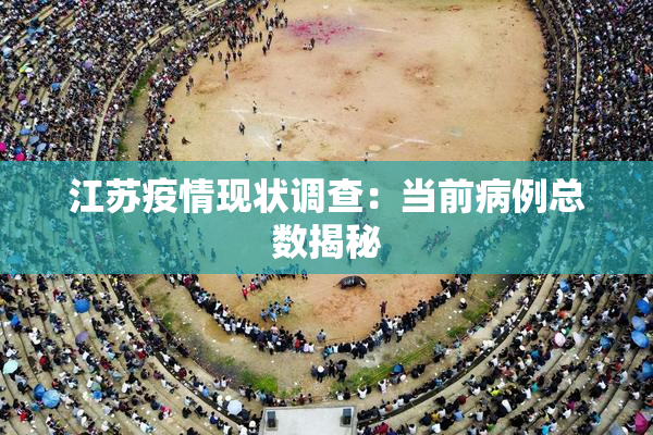 江苏疫情现状调查：当前病例总数揭秘