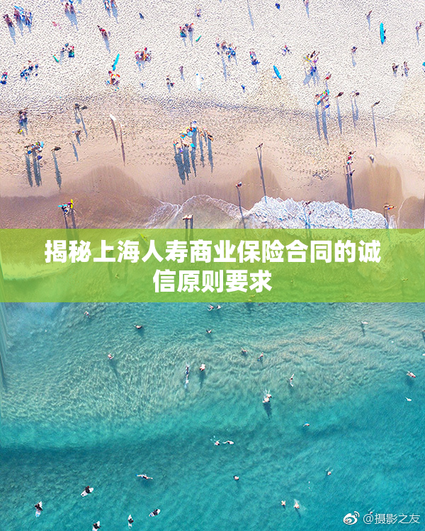 揭秘上海人寿商业保险合同的诚信原则要求