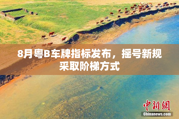 8月粤B车牌指标发布，摇号新规采取阶梯方式
