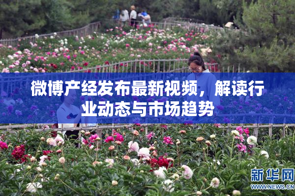 微博产经发布最新视频，解读行业动态与市场趋势