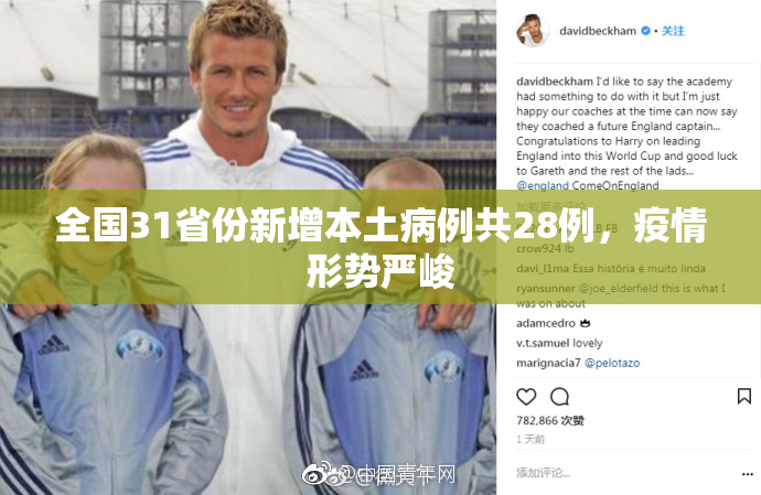 全国31省份新增本土病例共28例，疫情形势严峻