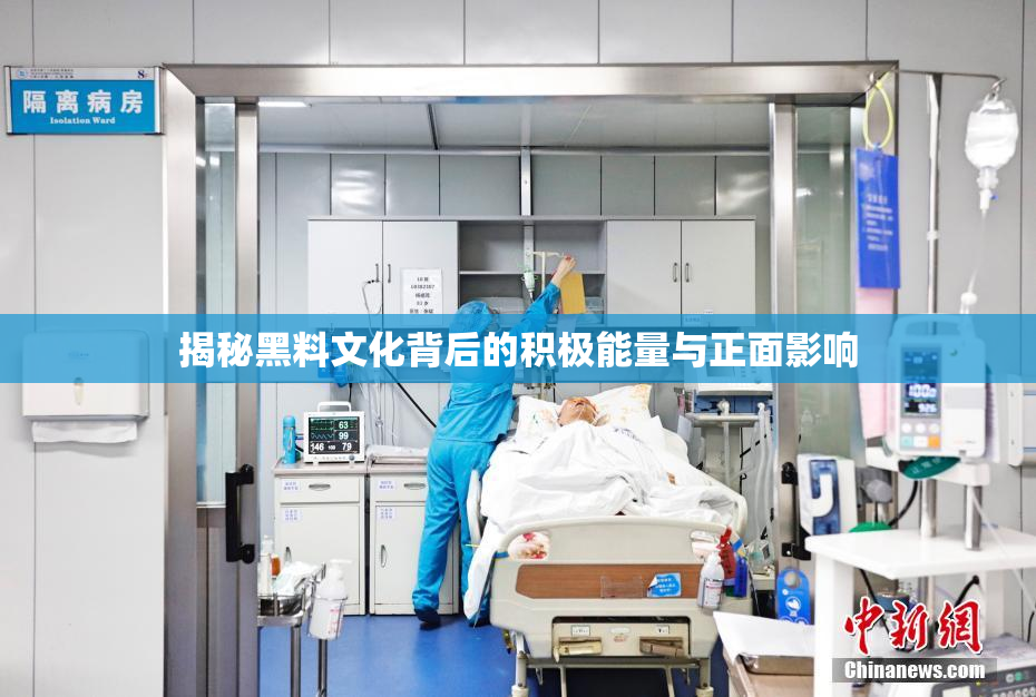 揭秘黑料文化背后的积极能量与正面影响