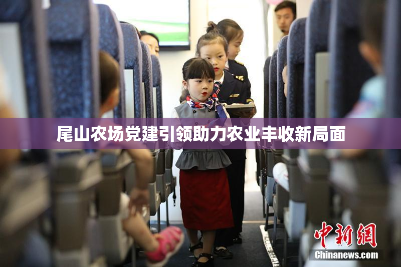 尾山农场党建引领助力农业丰收新局面