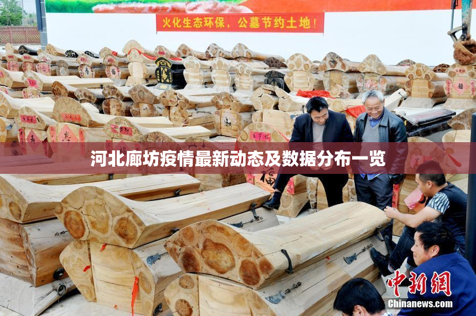 河北廊坊疫情最新动态及数据分布一览