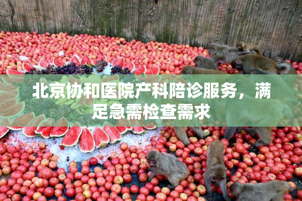 北京协和医院产科陪诊服务，满足急需检查需求