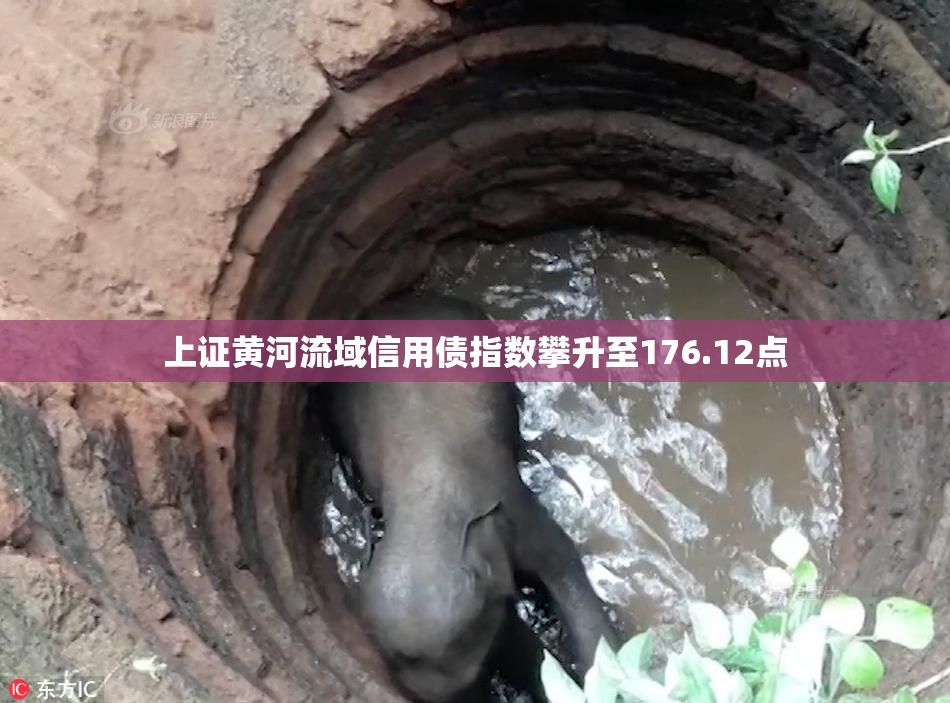上证黄河流域信用债指数攀升至176.12点