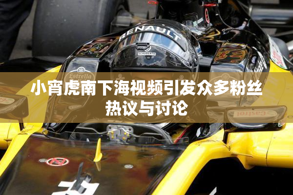 小宵虎南下海视频引发众多粉丝热议与讨论
