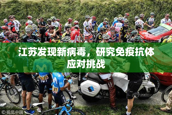 江苏发现新病毒，研究免疫抗体应对挑战