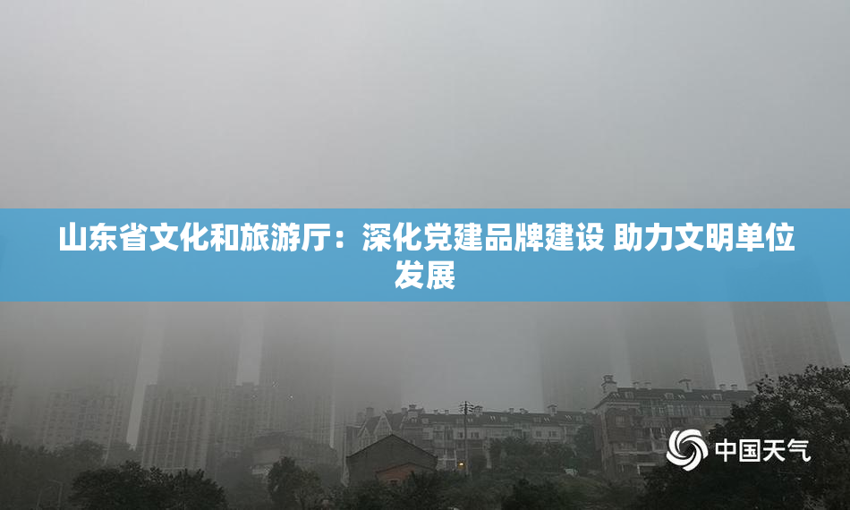 山东省文化和旅游厅：深化党建品牌建设 助力文明单位发展