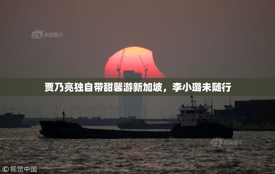 贾乃亮独自带甜馨游新加坡，李小璐未随行