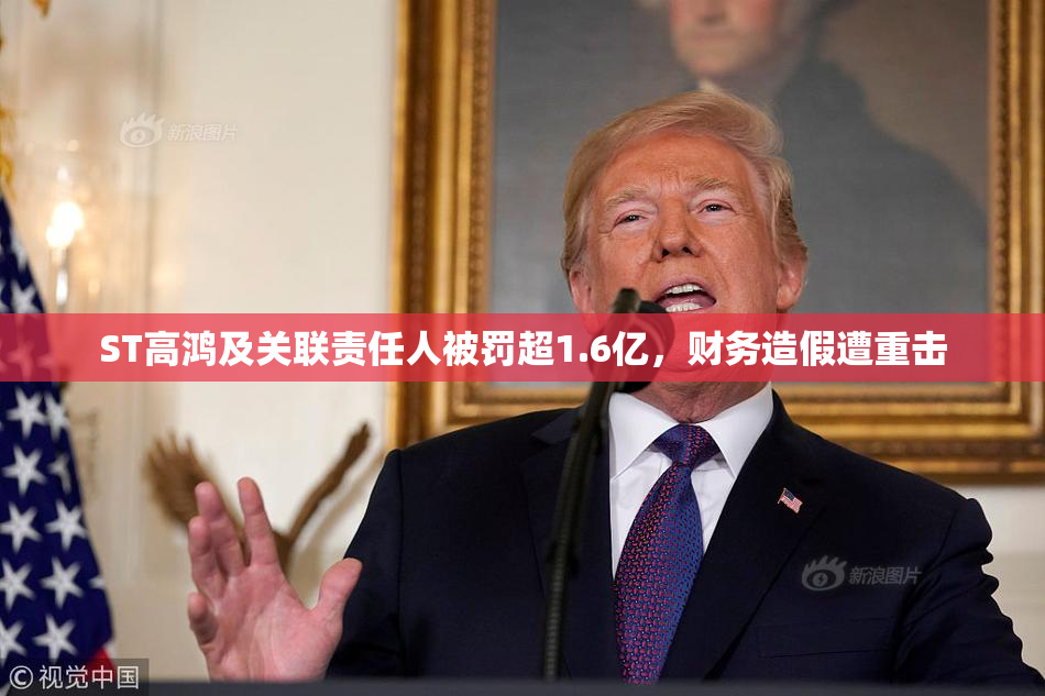 ST高鸿及关联责任人被罚超1.6亿，财务造假遭重击