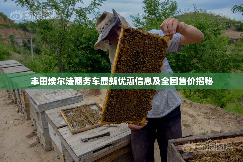 丰田埃尔法商务车最新优惠信息及全国售价揭秘