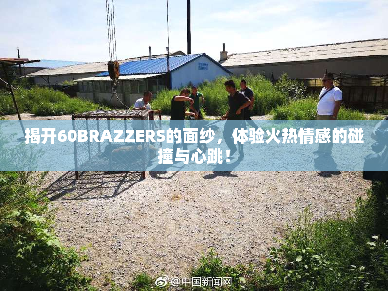 揭开60BRAZZERS的面纱，体验火热情感的碰撞与心跳！