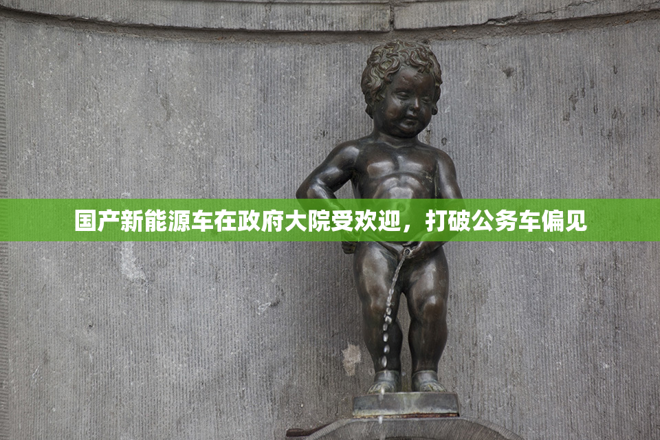 国产新能源车在政府大院受欢迎，打破公务车偏见