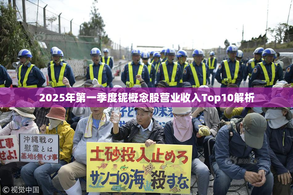 2025年第一季度铌概念股营业收入Top10解析