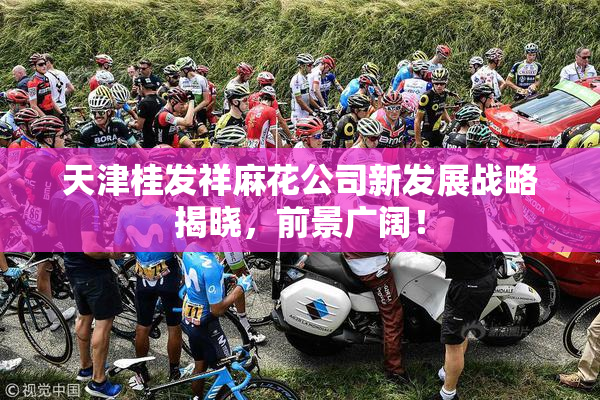 天津桂发祥麻花公司新发展战略揭晓，前景广阔！