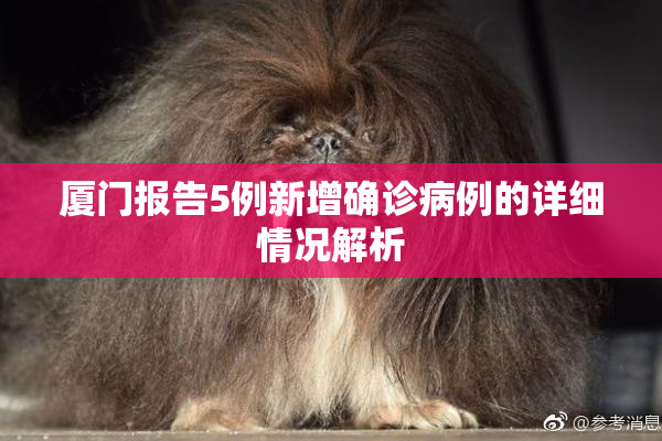 厦门报告5例新增确诊病例的详细情况解析